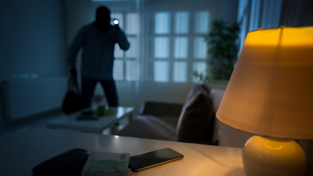Burglar inside of living room at night