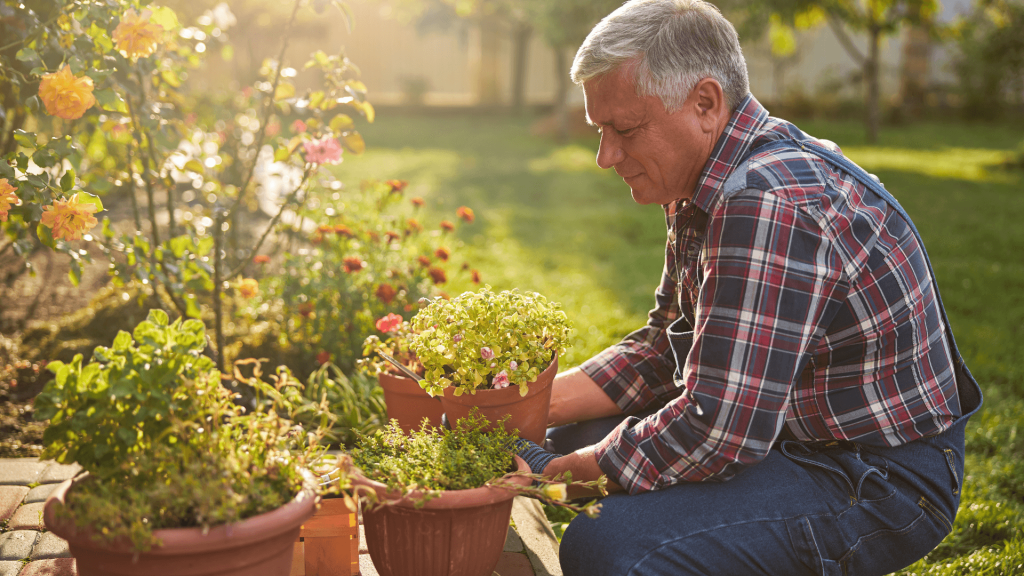 Senior citizen gardening