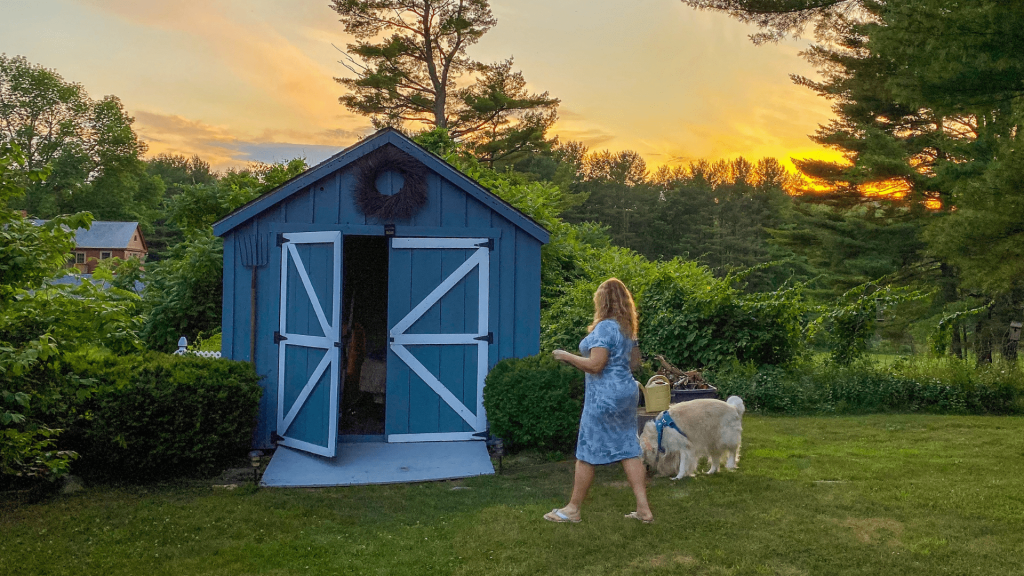 Outdoor Shed