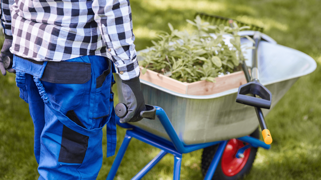 landscaping (1) man pushing wheel barrel full of gardening supplies