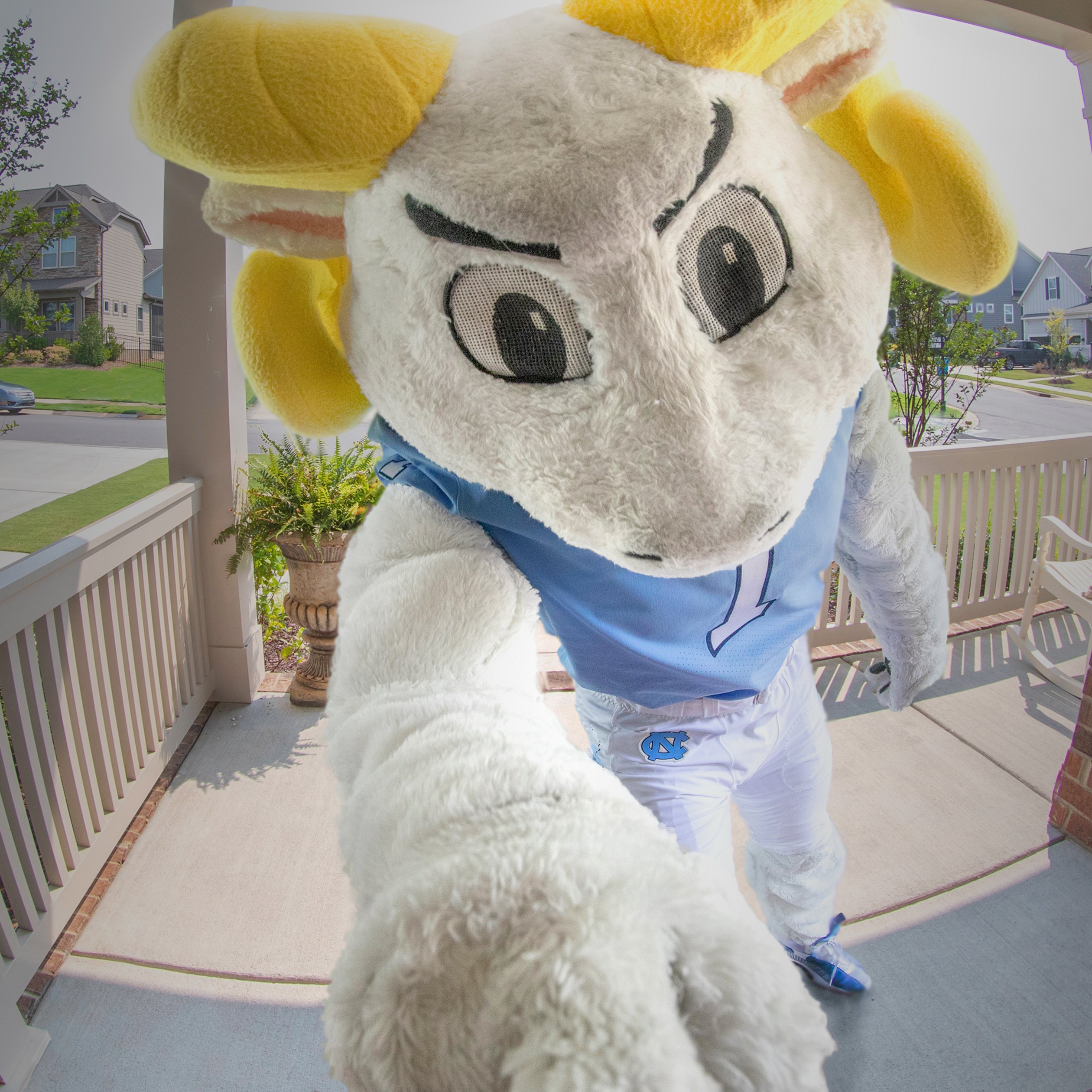 Tarheel mascot ringing video doorbell on front porch